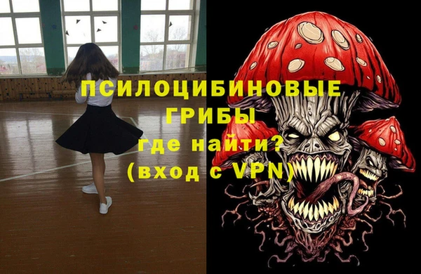 СК Арсеньев