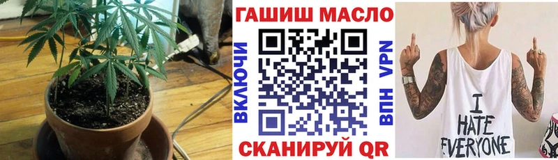 ТГК THC oil  ссылка на мегу сайт  Шатура  даркнет сайт 