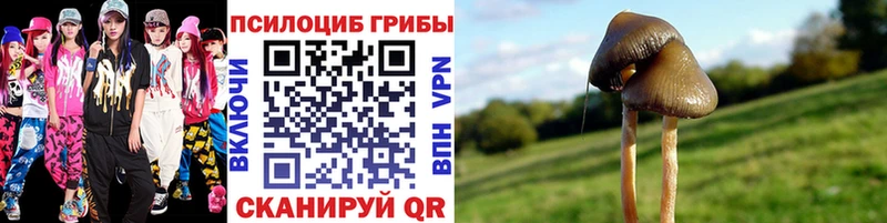 OMG зеркало Шатура Псилоцибиновые грибы MAGIC MUSHROOMS